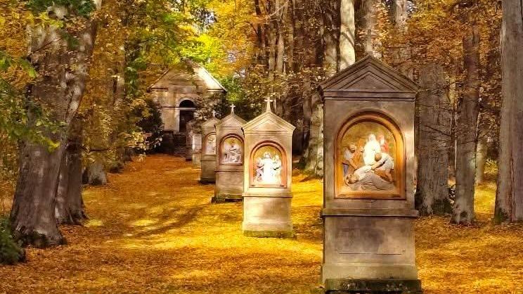 Kalvárie u Cvikova: místo, kde se duchovnost setkává s přírodou