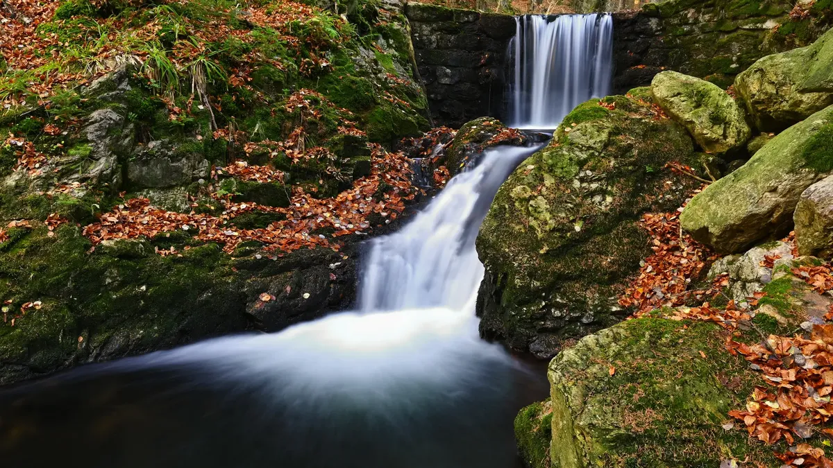 Žlutá stezka na Bílé Opavě je nádherná, ale kočárek tam opravdu nepatří!